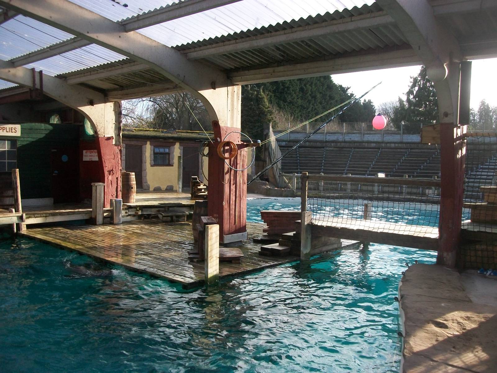 Another view of where Cuddles cavorted 4th January 2013