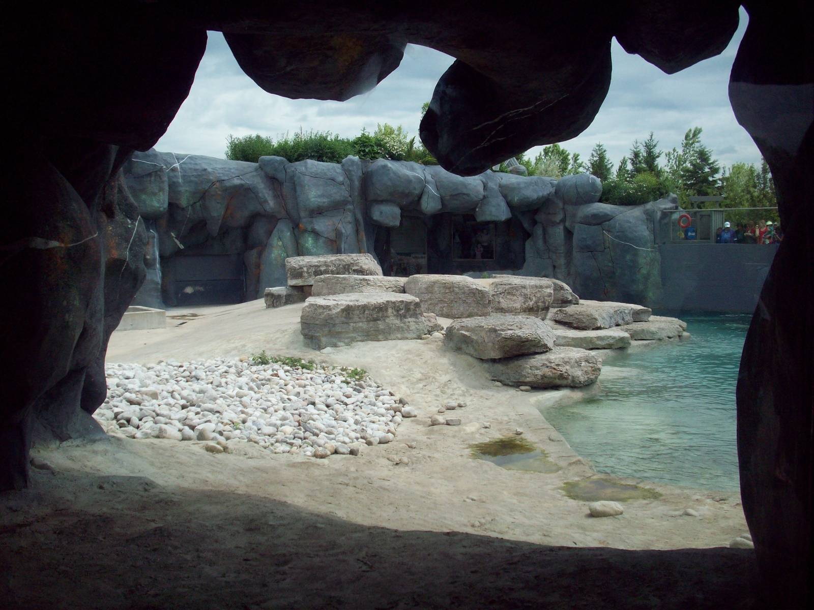 Another Viiew of the Polar Bear Exhibit