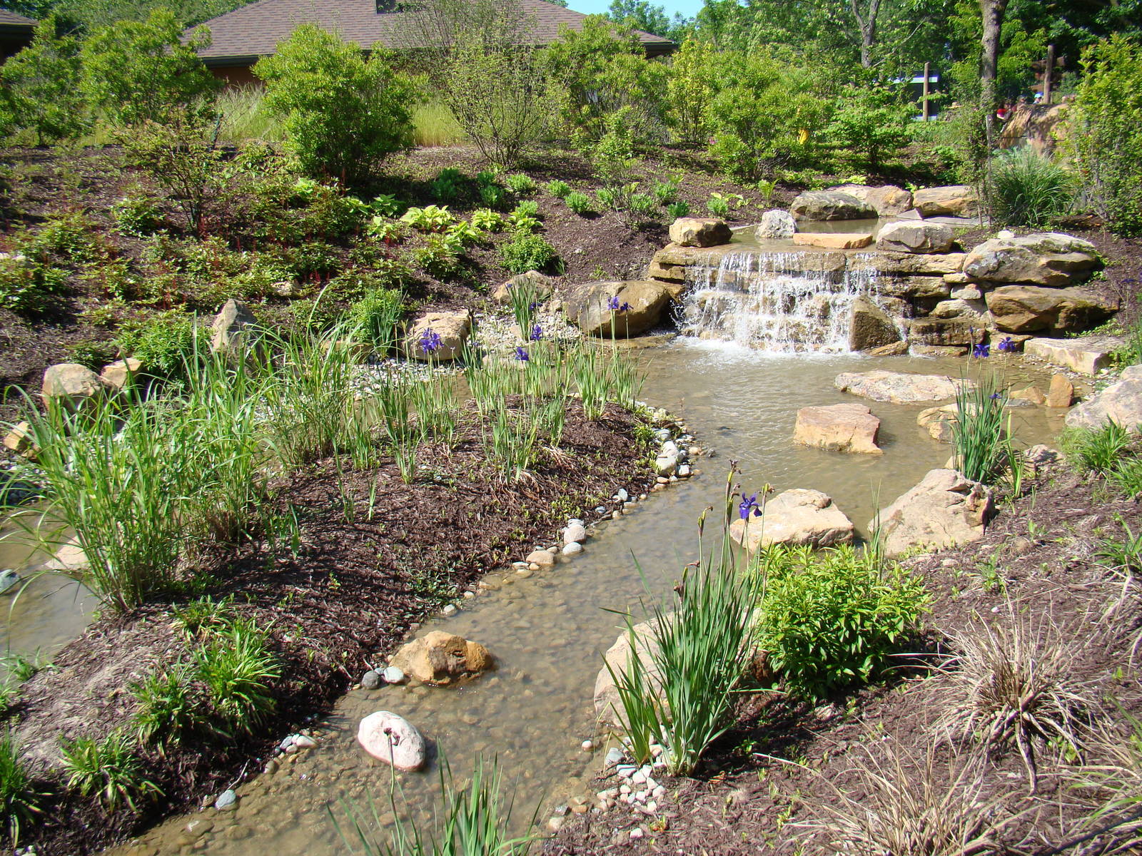 another waterfall view