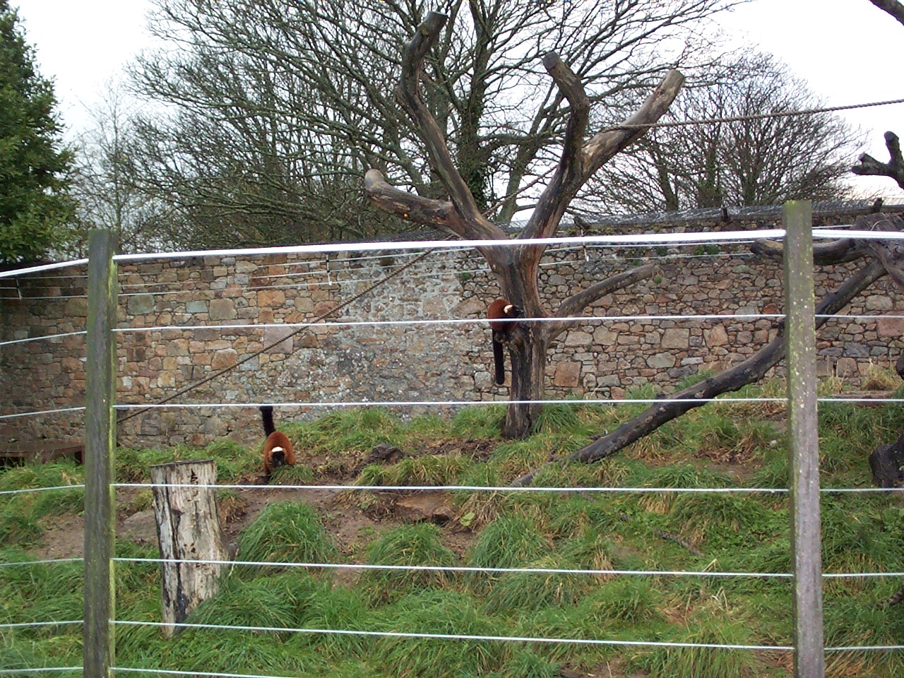 another wider view Nov 2000