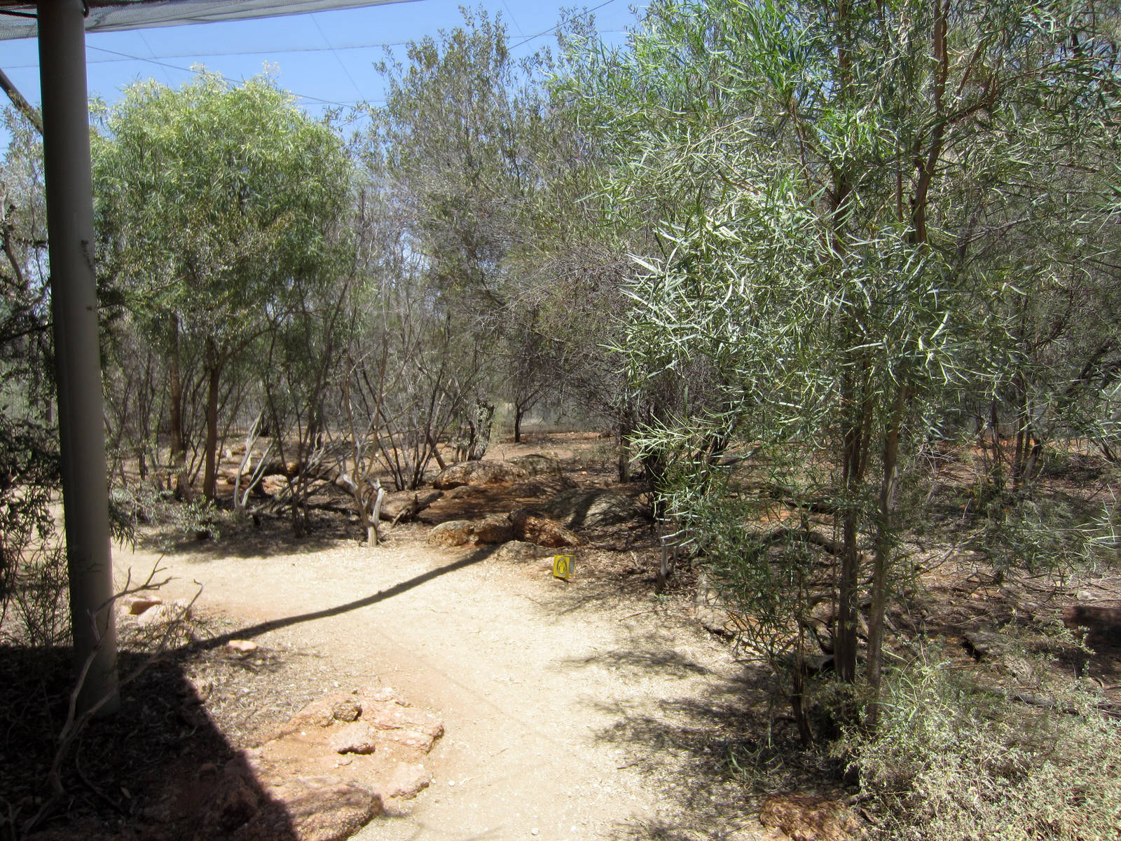 Anotther walkthrough aviary