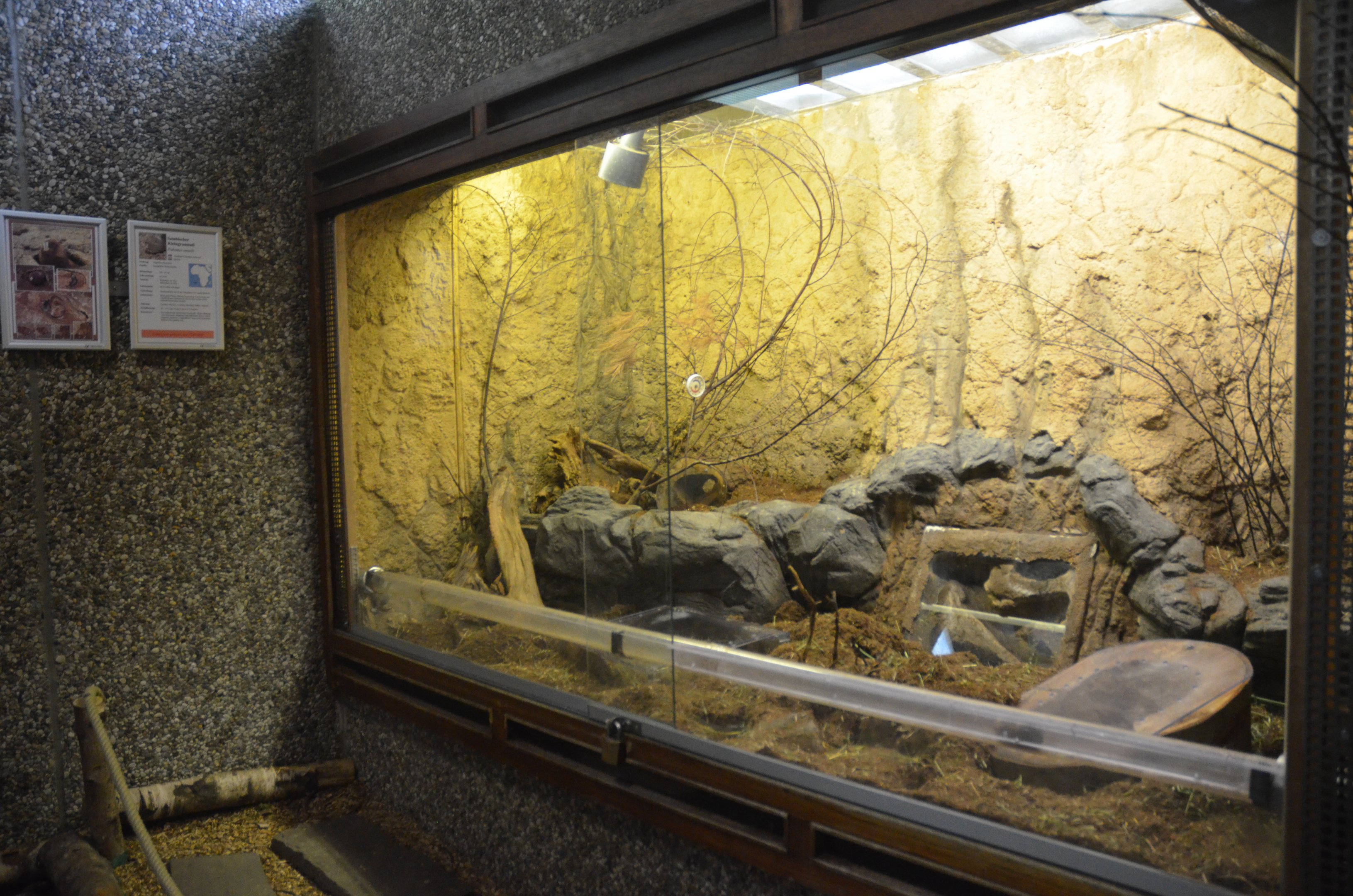 Ansell's Mole Rat Enclosure at Wuppertal, 16/06/19