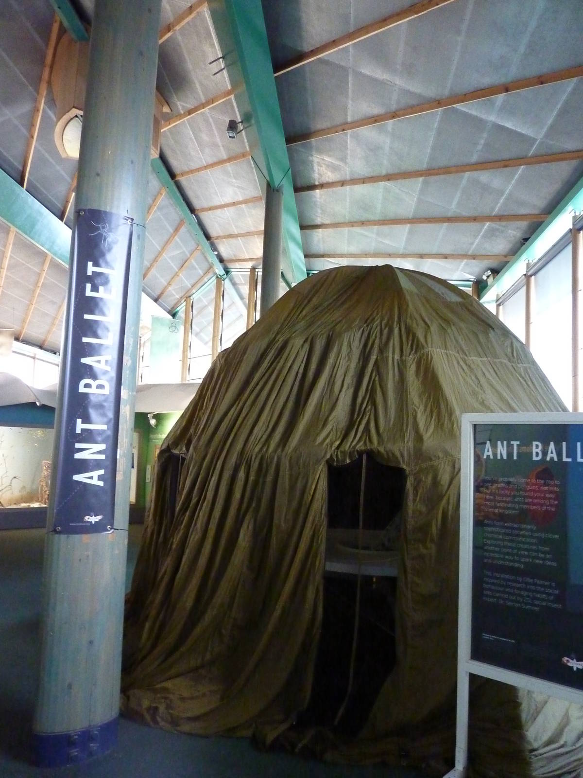 Ant Ballet exhibition in BUGS, 7th Feb 2012