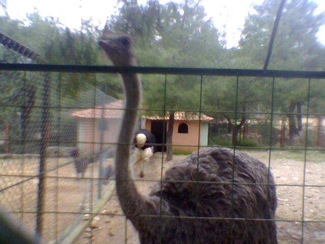 Antalya Zoo