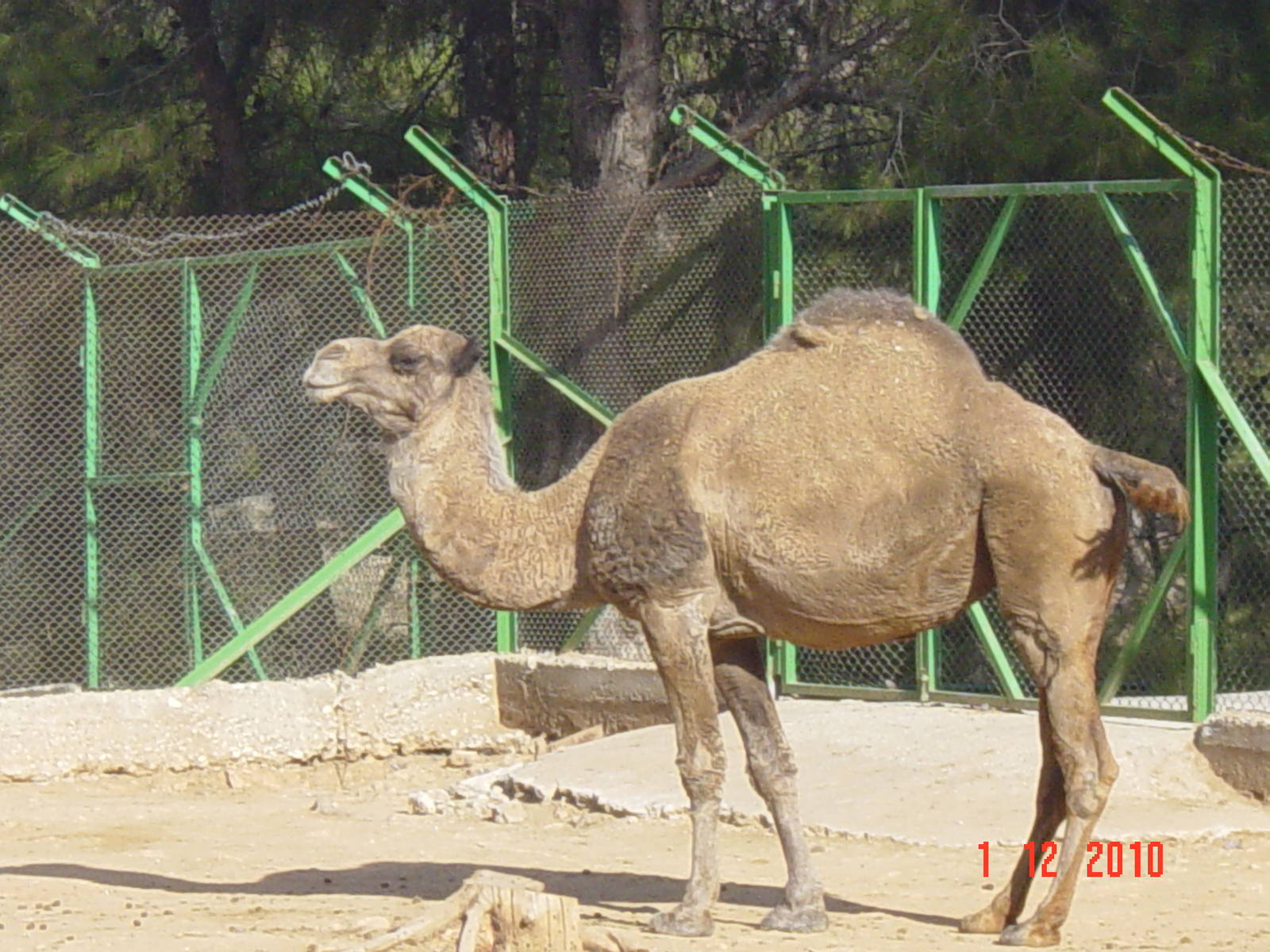 Antalya Zoo