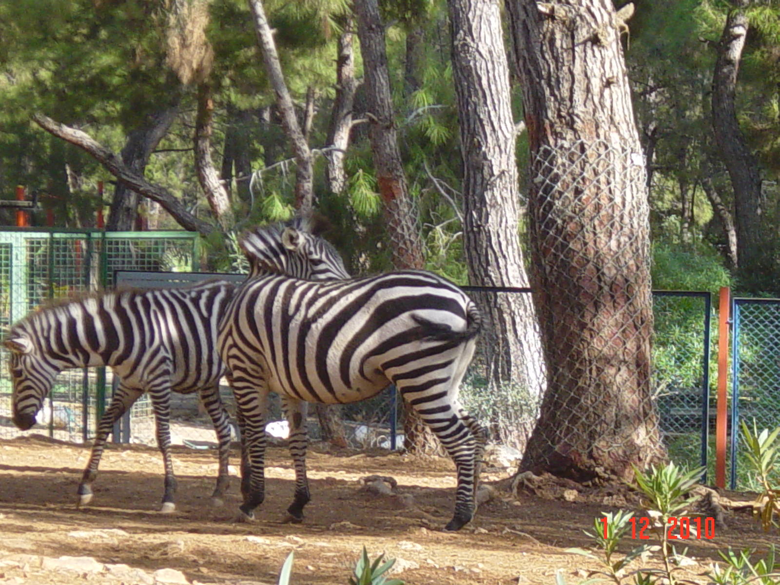 Antalya Zoo