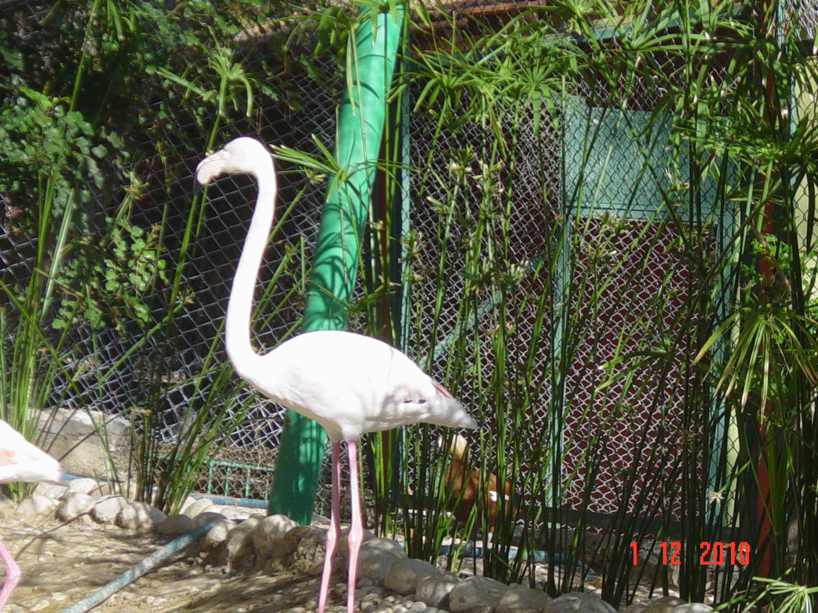 Antalya Zoo