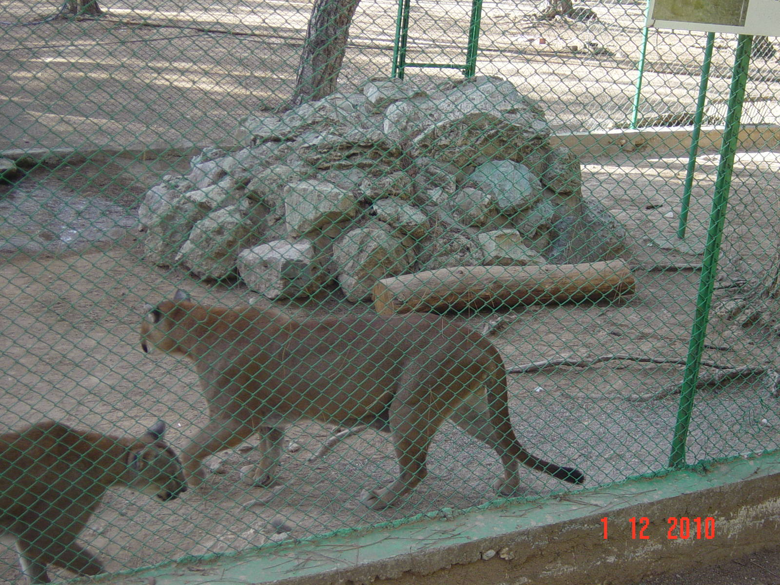 Antalya Zoo