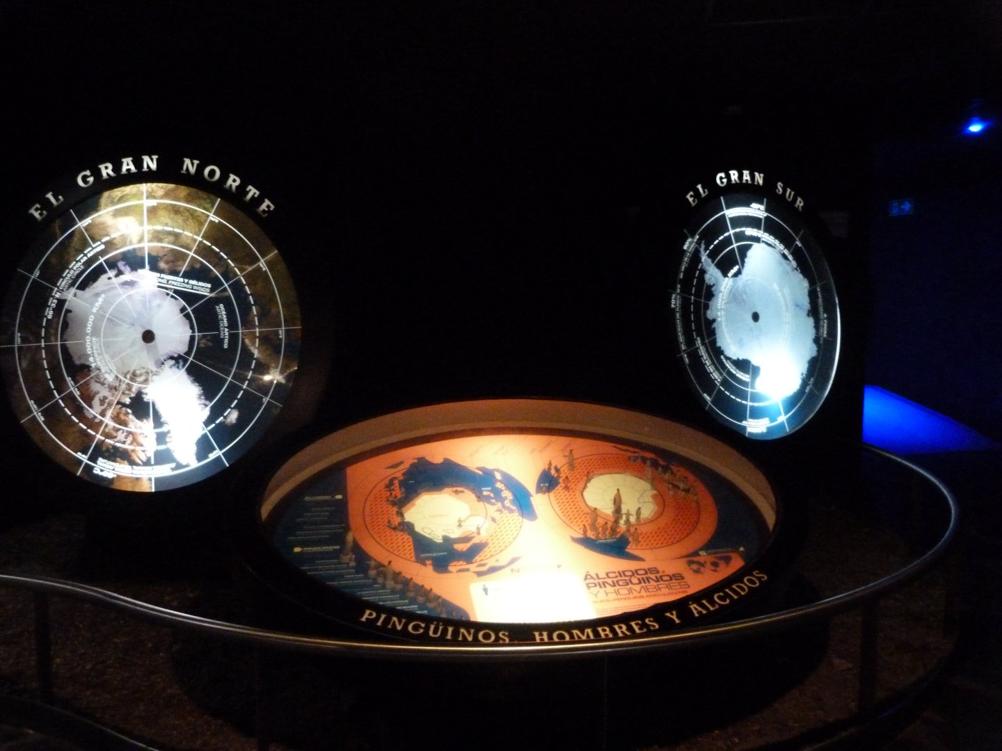 Antarctic education and themeing -Faunia (2025)