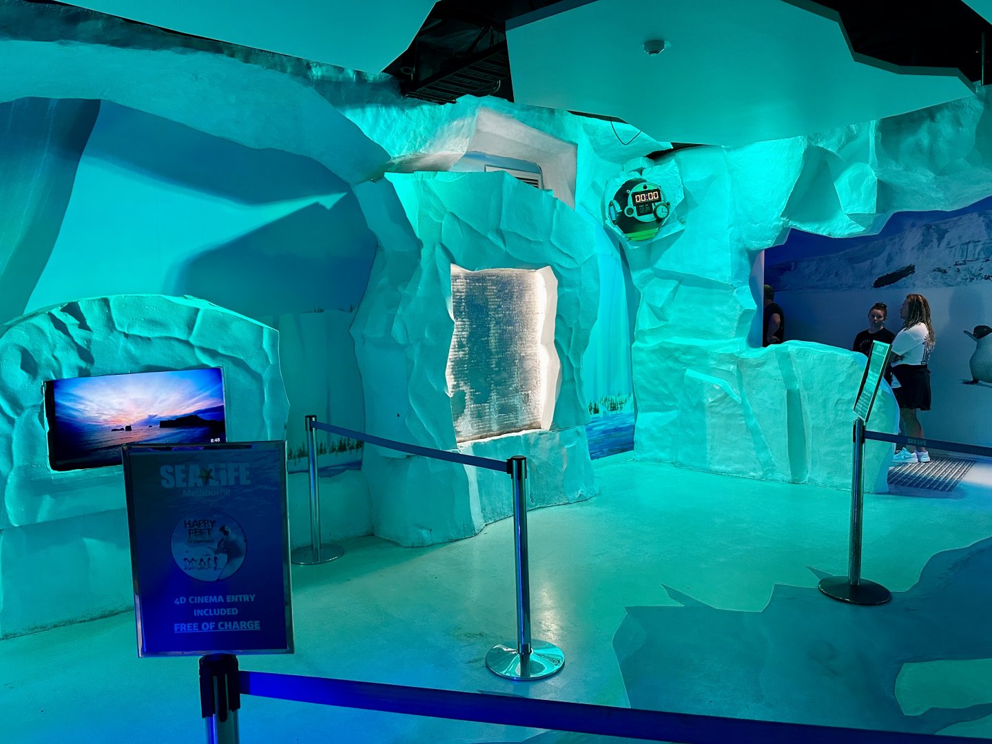 Antarctic Experience