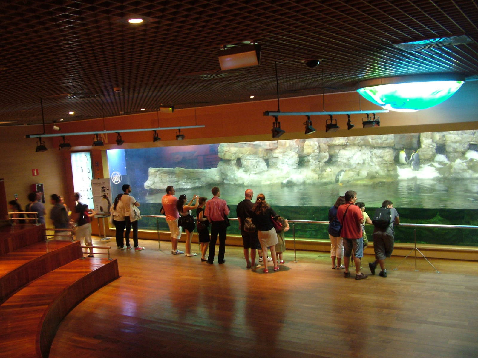 Antarctic Penguin Exhibit at Oceanografic, 29/05/11