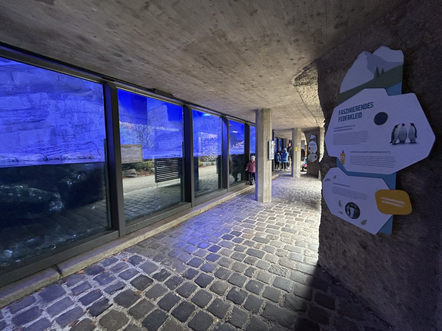 Antarctic Penguin Exhibit