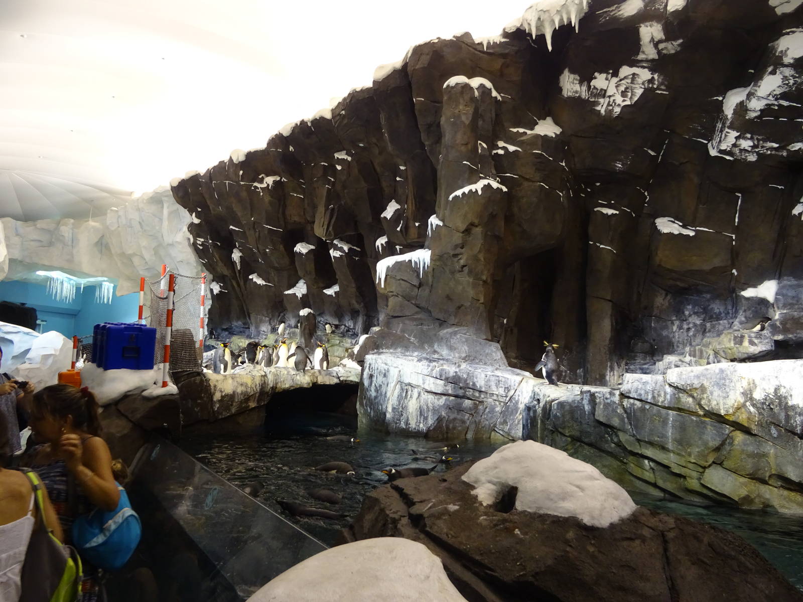 Antarctica: Empire of the Penguin - Penguin Exhibit at SeaWorld Orlando