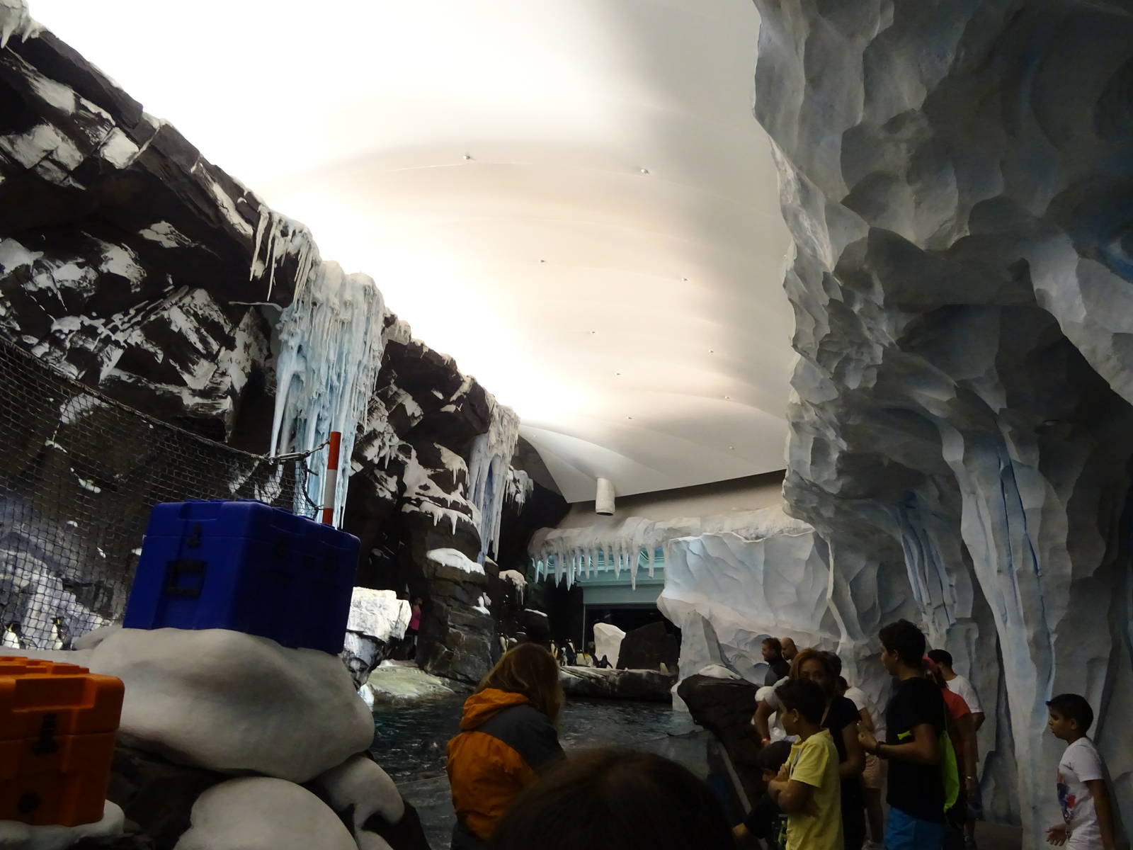 Antarctica: Empire of the Penguin - Penguin Exhibit at SeaWorld Orlando