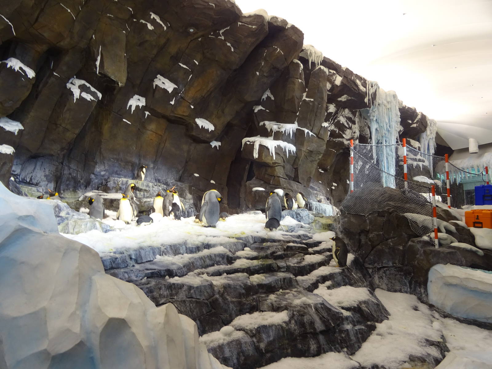 Antarctica: Empire of the Penguin - Penguin Exhibit at SeaWorld Orlando