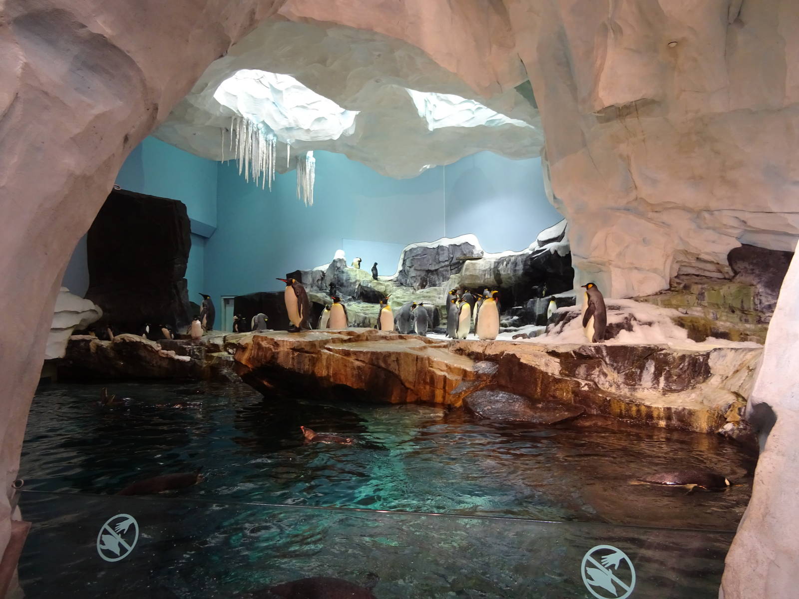 Antarctica: Empire of the Penguin - Penguin Exhibit at SeaWorld Orlando