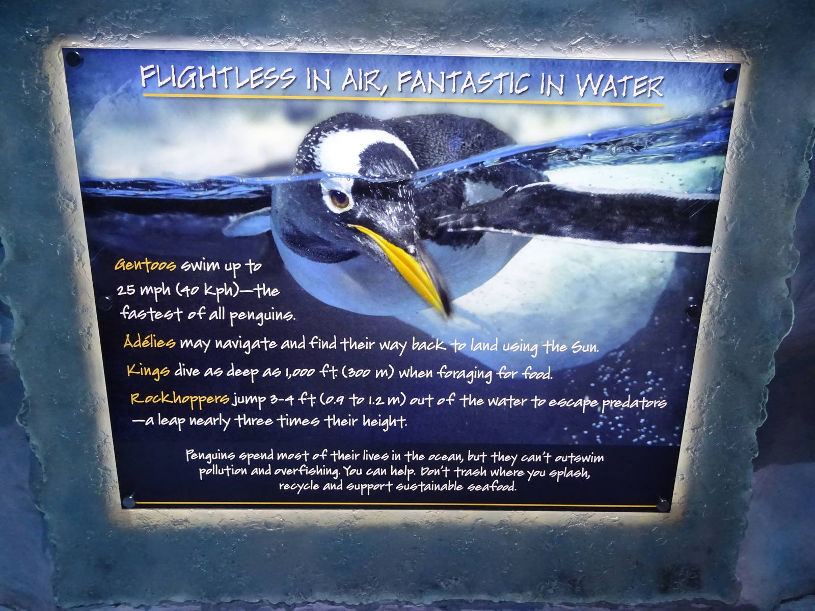 Antarctica: Empire of the Penguin - Penguin Sign at SeaWorld Orlando