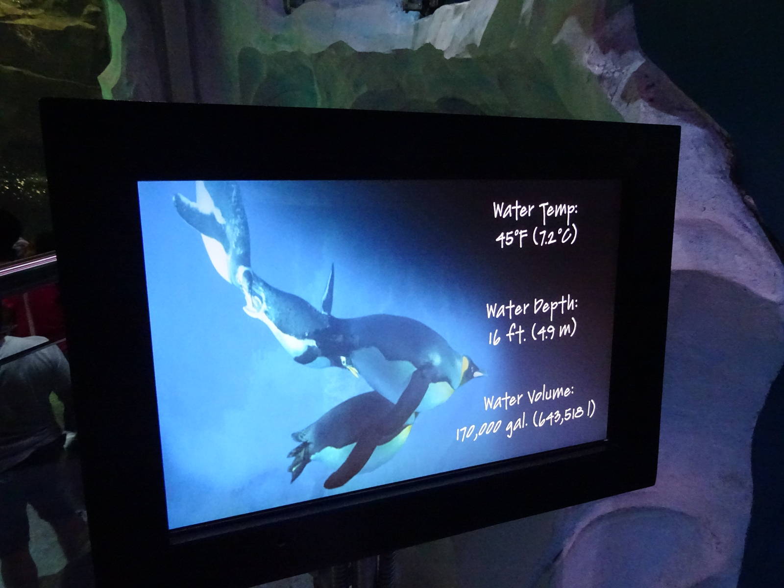 Antarctica: Empire of the Penguin - Penguin Sign at SeaWorld Orlando