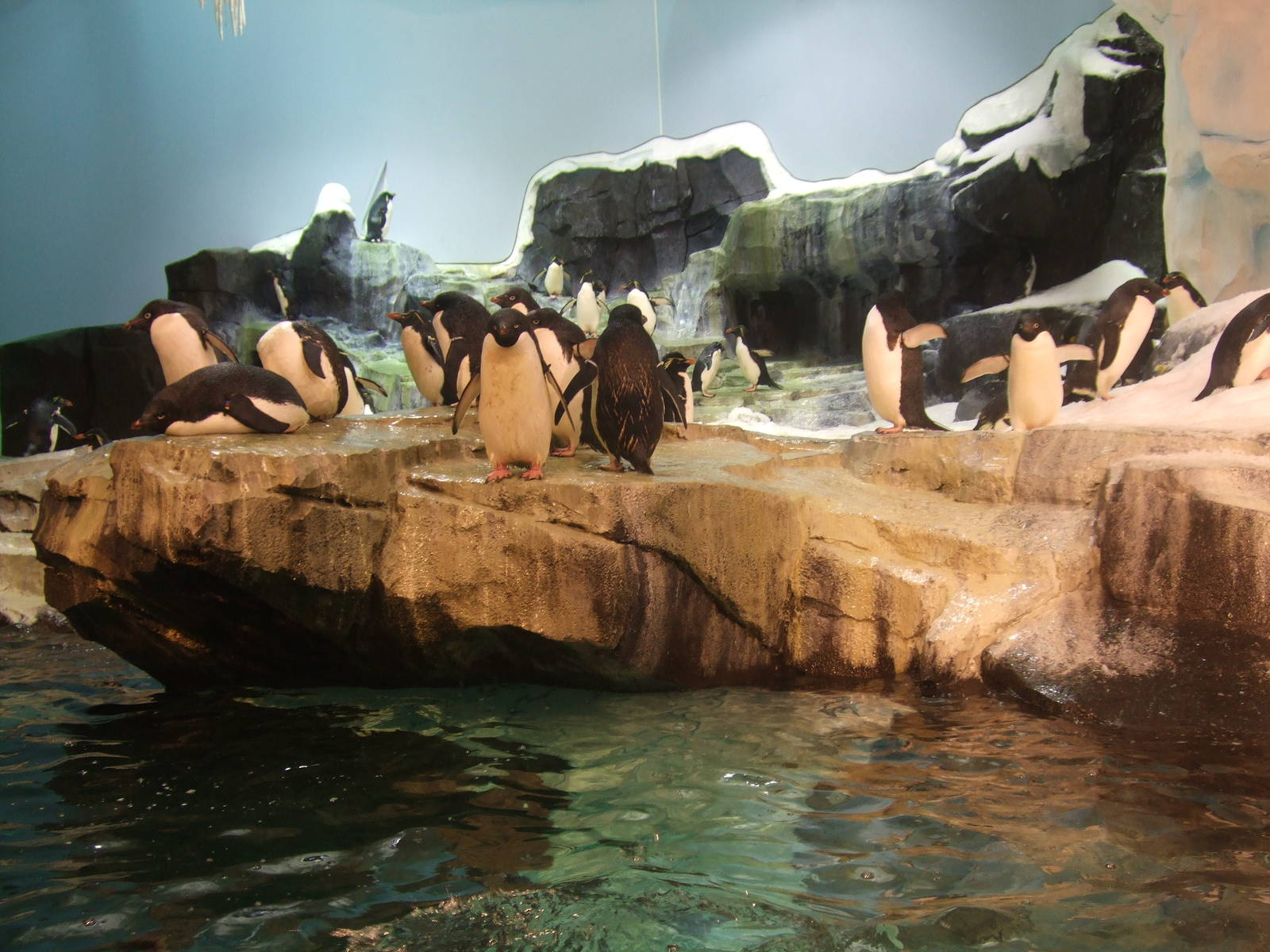 Antarctica: Empire of the penguin