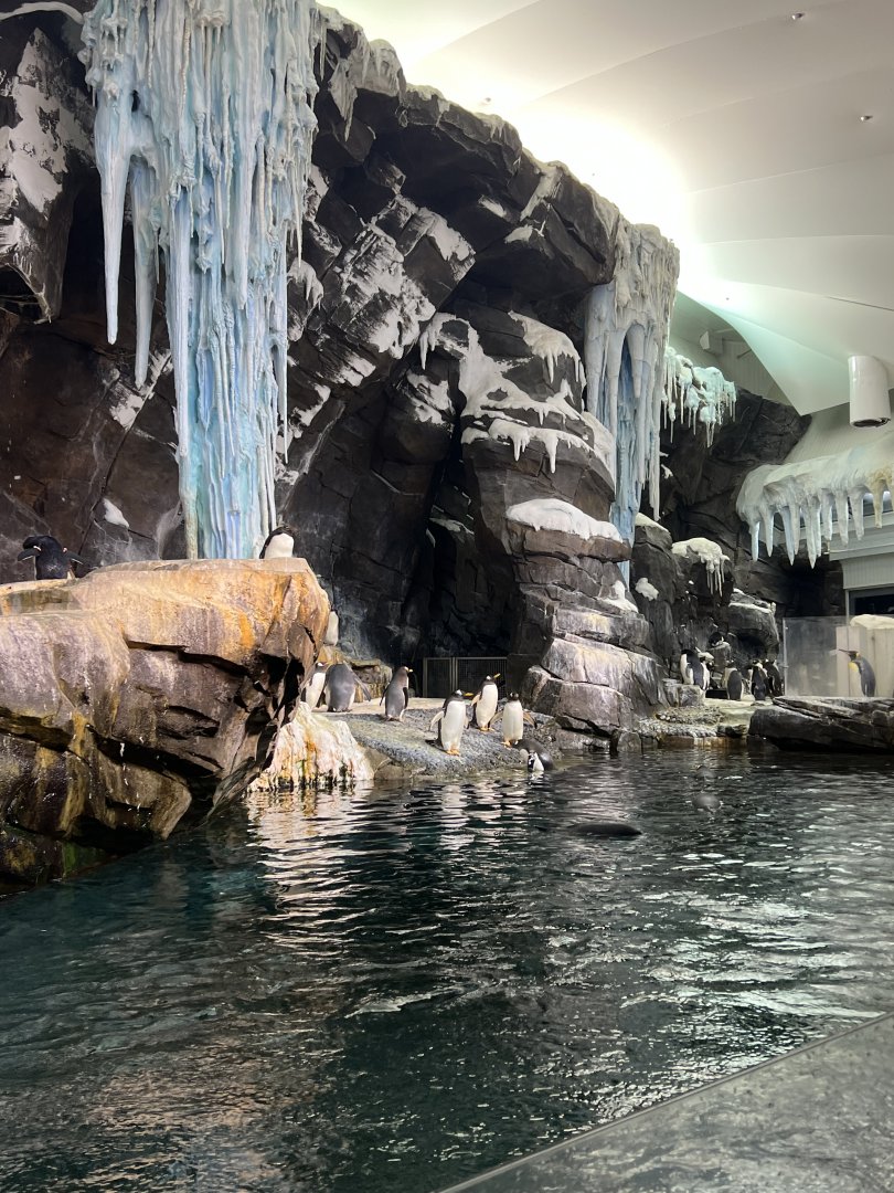 Antarctica: Empire of the Penguin