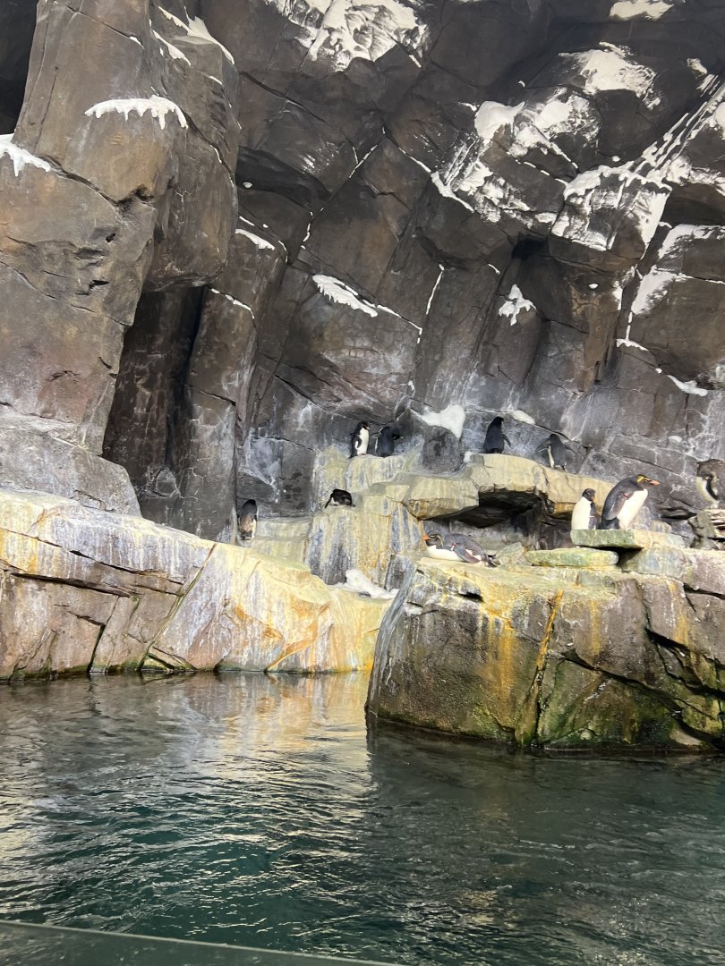 Antarctica: Empire of the Penguin