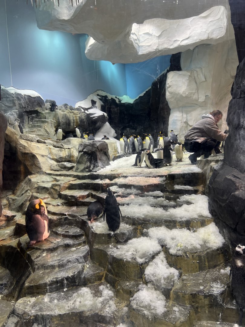 Antarctica: Empire of the Penguin