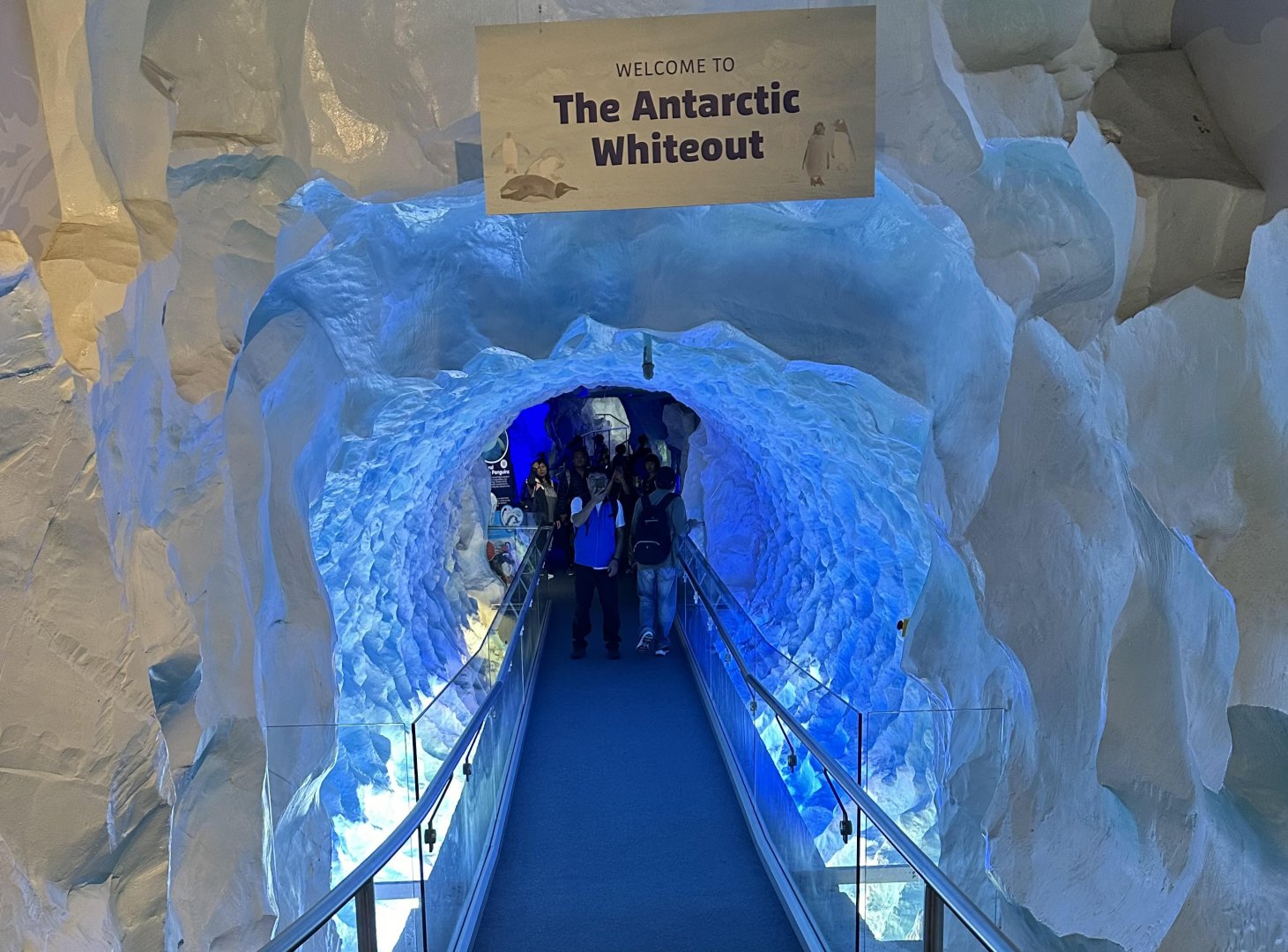 Antarctica Entrance