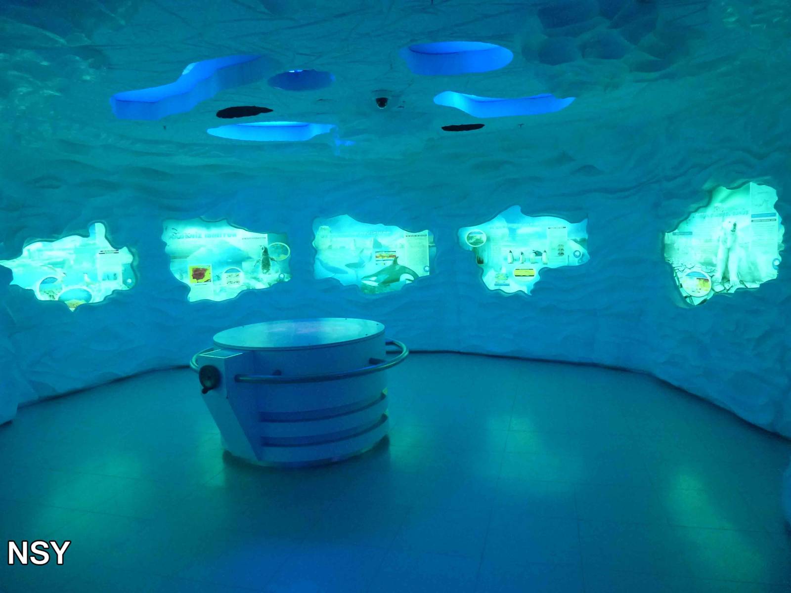 Antarctica exhibit, June 2013.