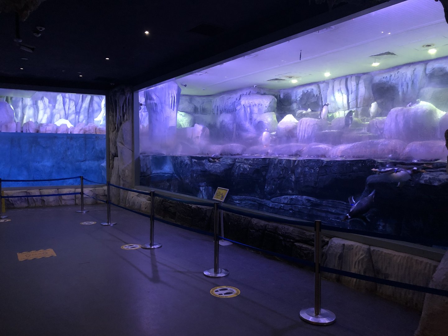 Antarctica Exhibit