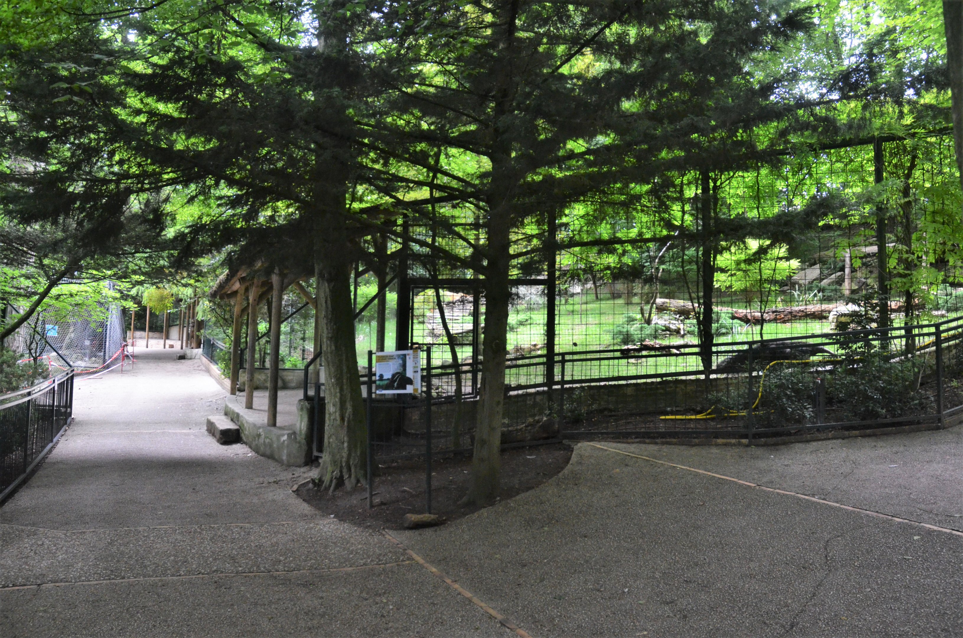 Anteater Enclosure at Beauval, 12/06/18