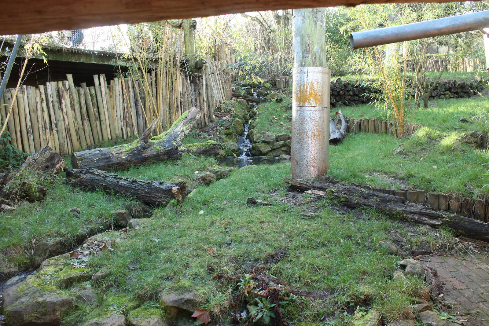 Anteater enclosure (December 30th, 2015)