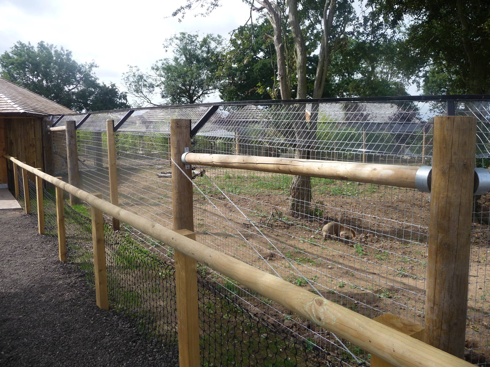 Anteater enclosure