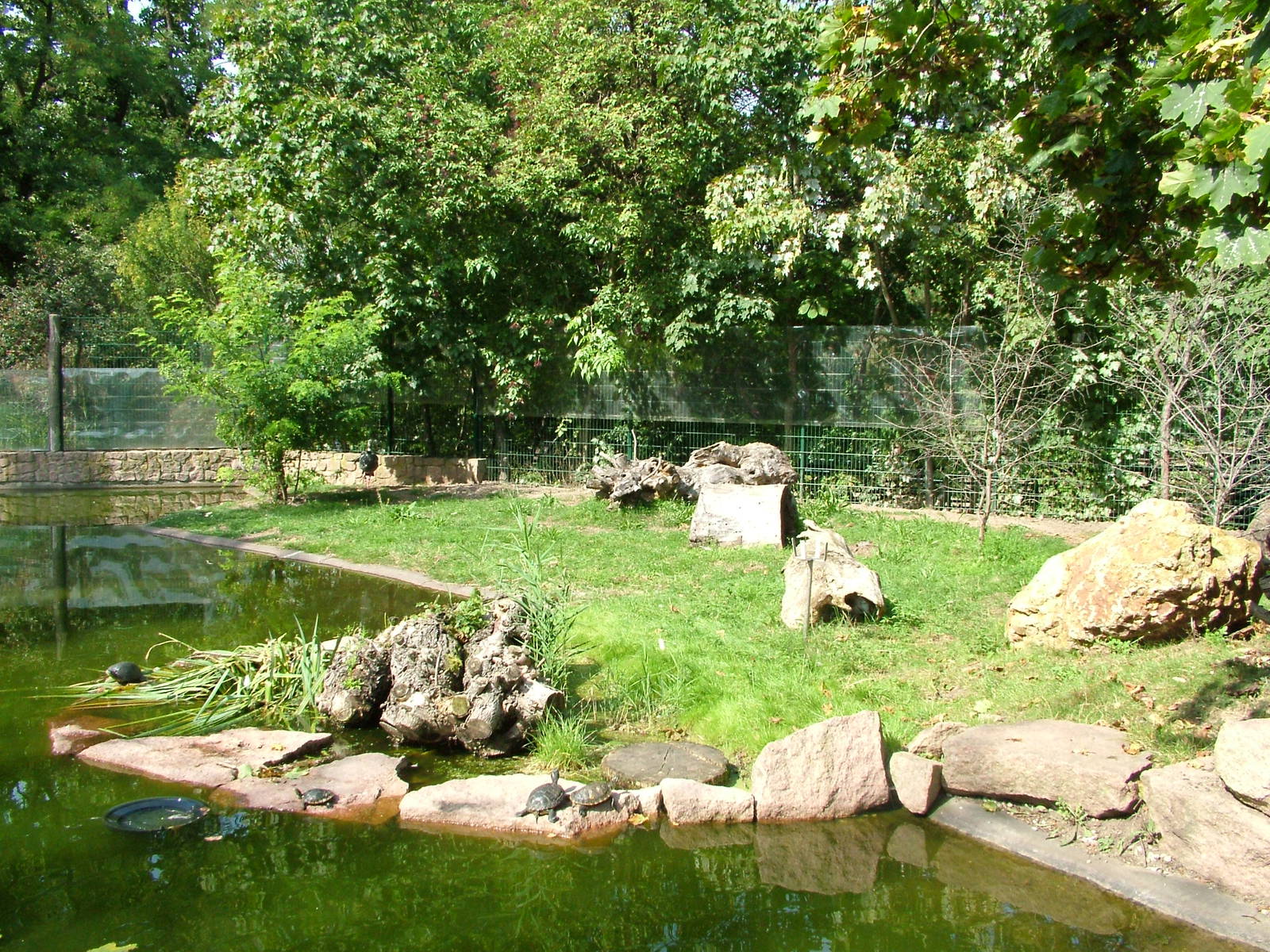 Anteater Exhibit at Halle, 04/09/11