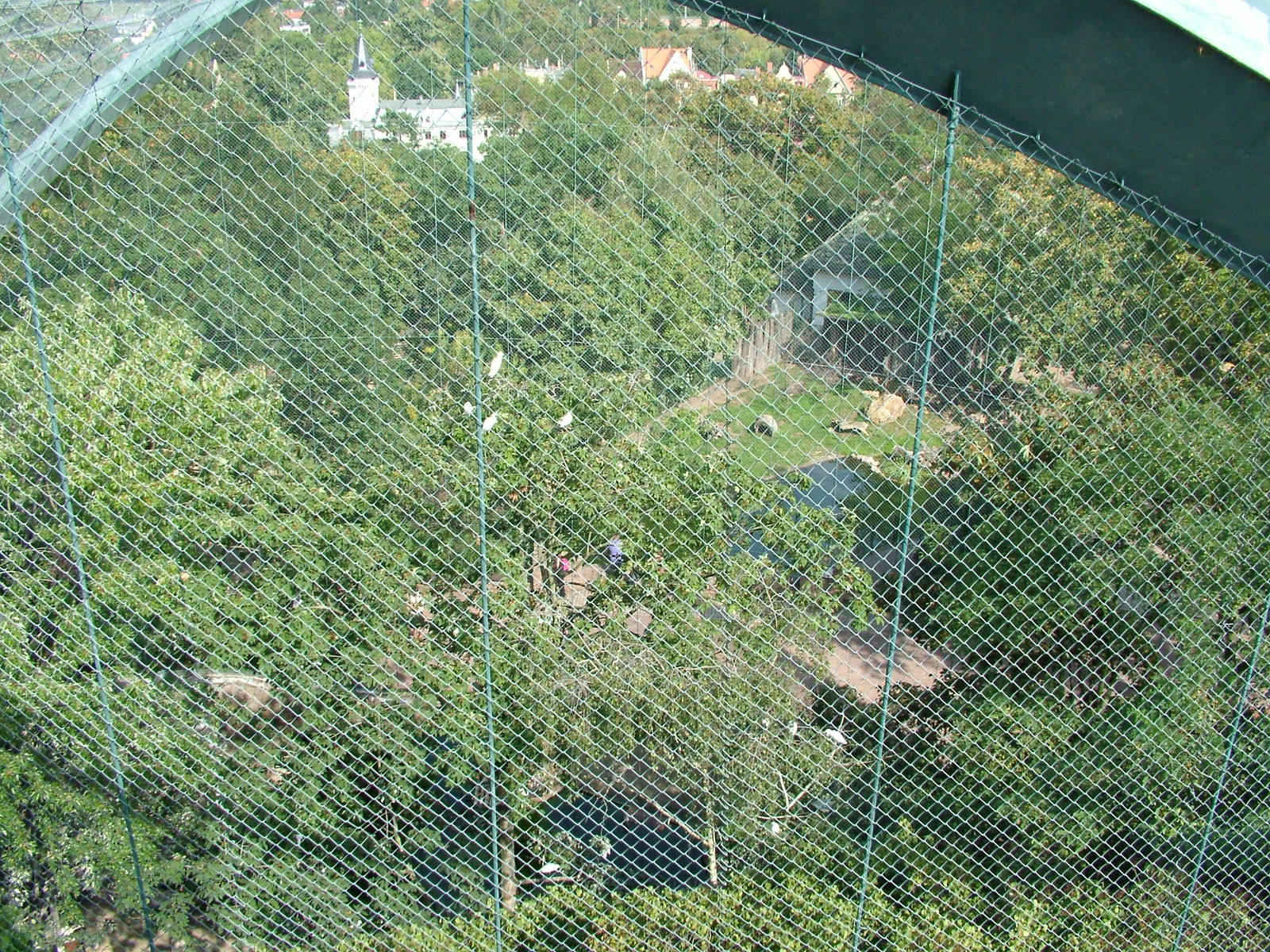 Anteater Exhibit at Halle, 04/09/11