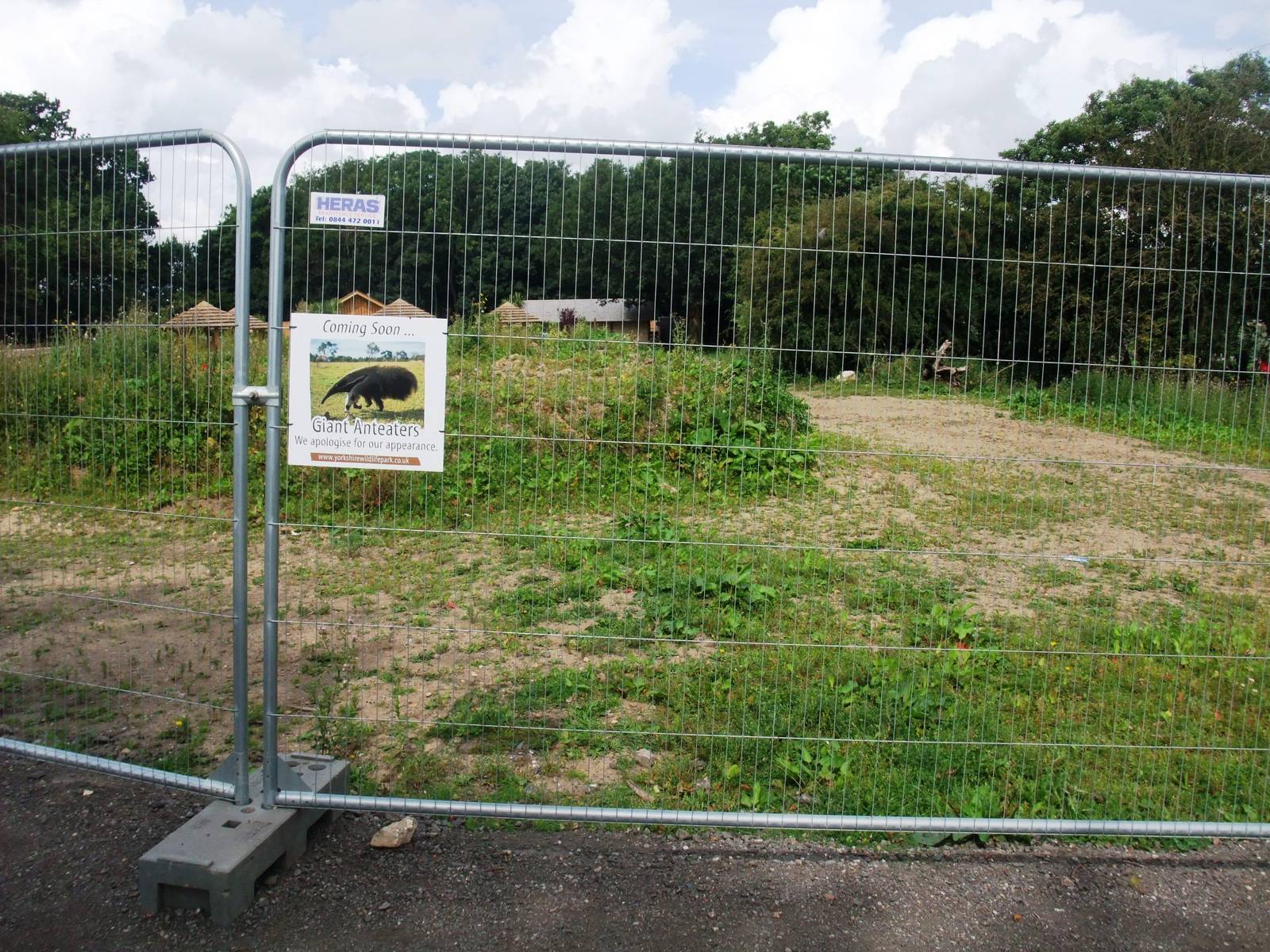 Anteater Exhibit Site at Yorkshire WP, 05/08/12