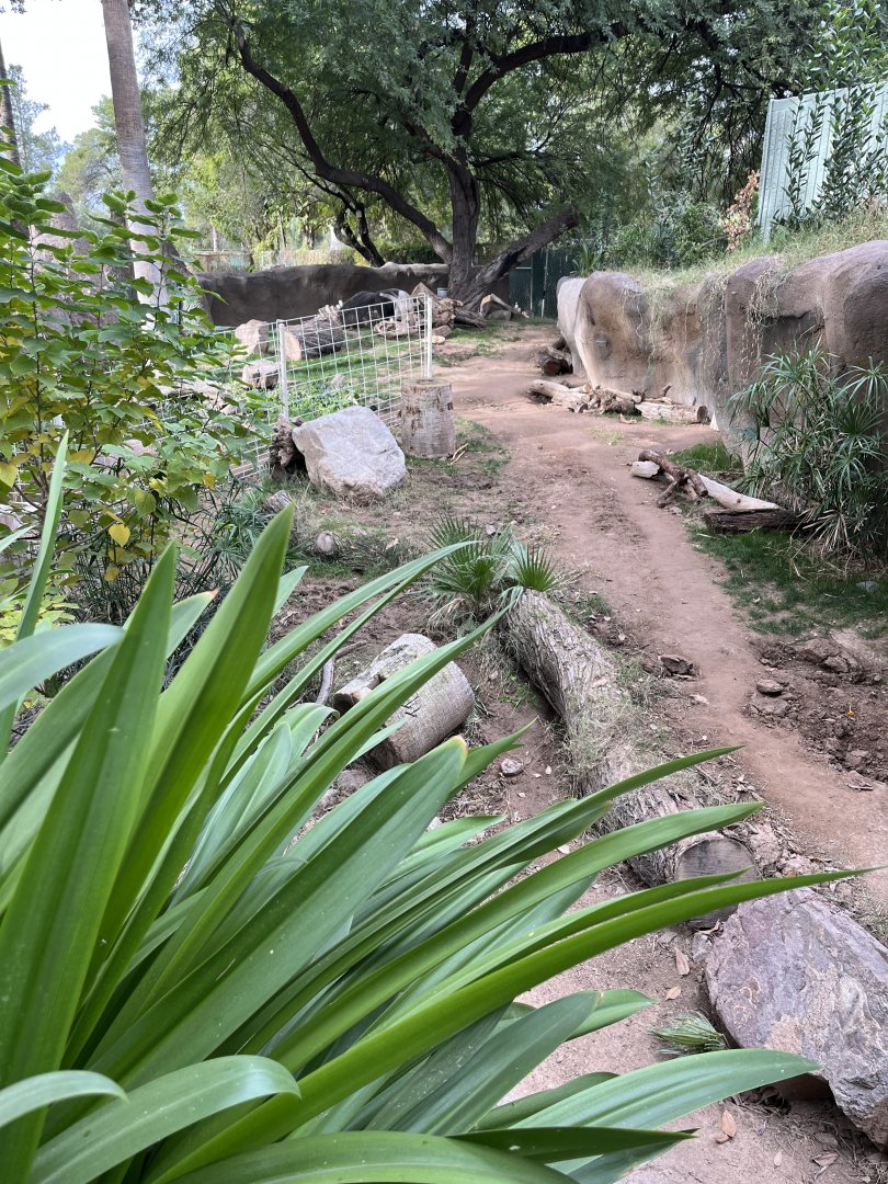 anteater exhibit