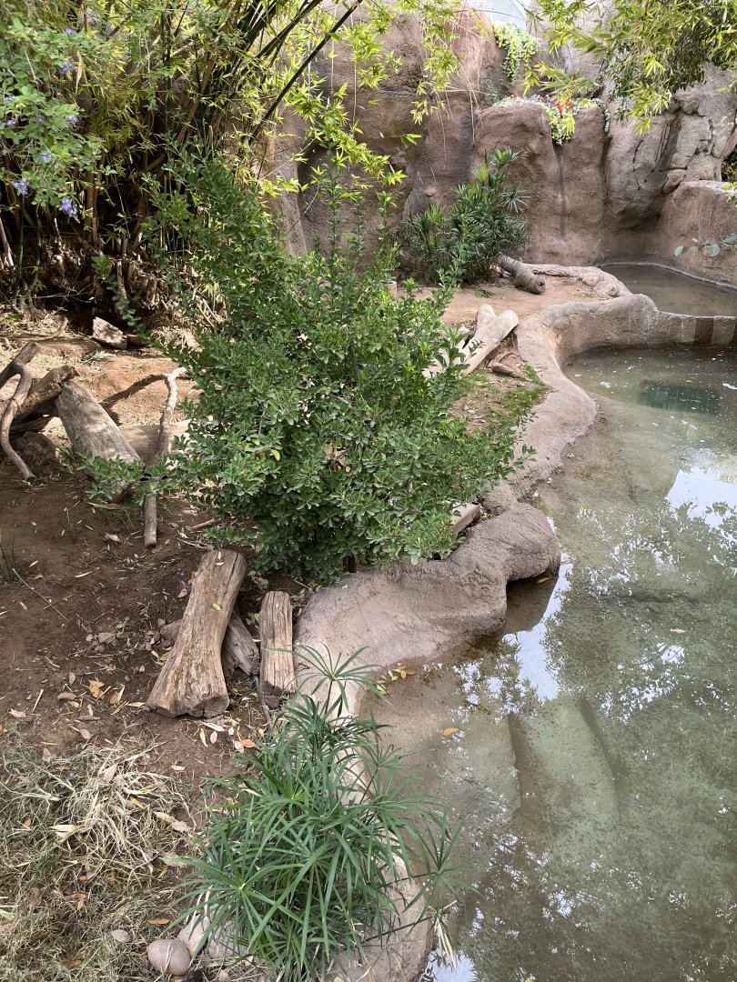 anteater exhibit