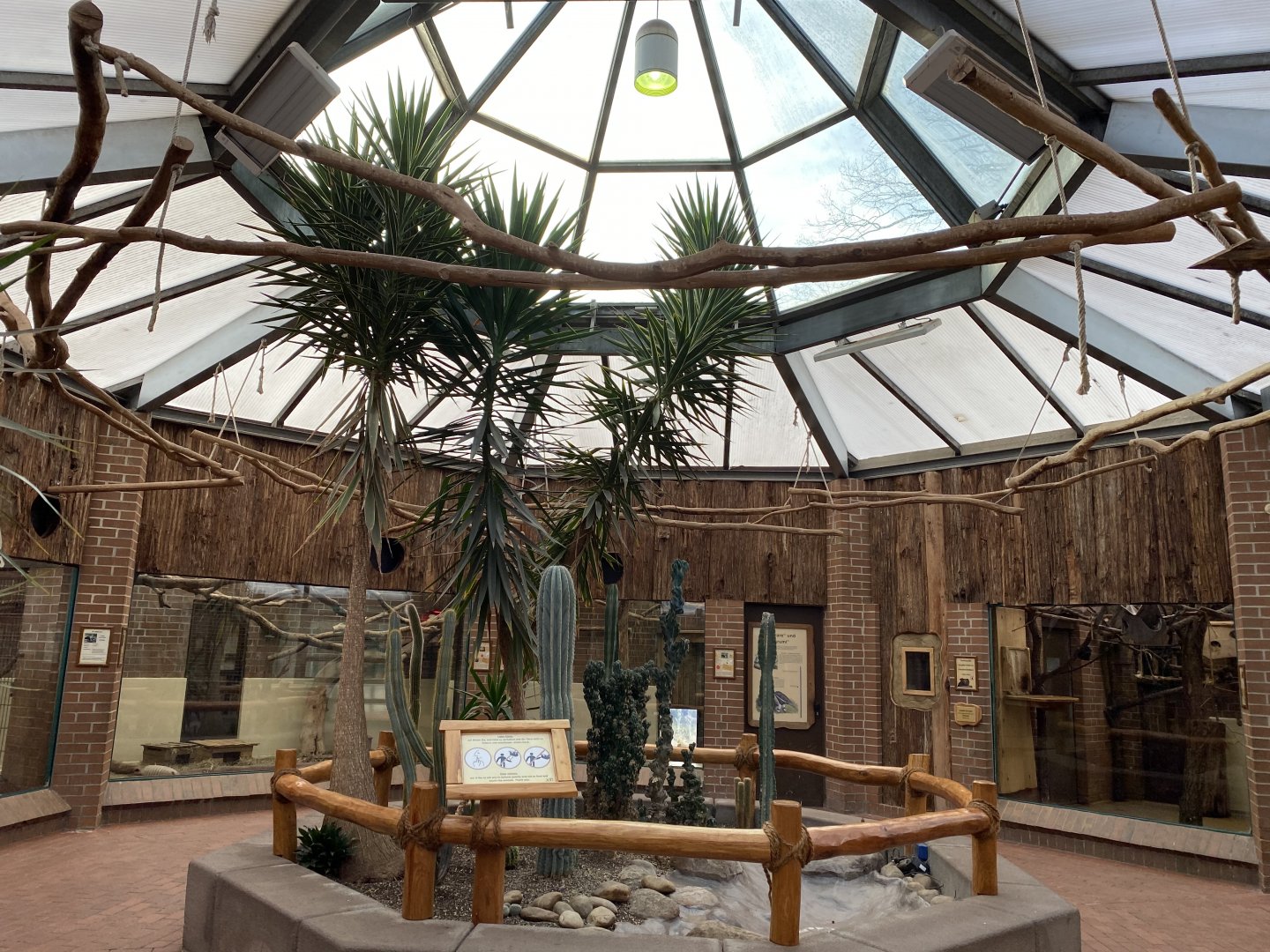 Anteater House indoors 021219