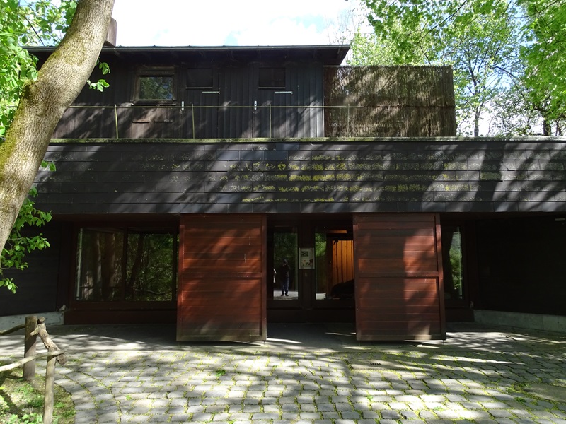 Anteater indoor enclosure