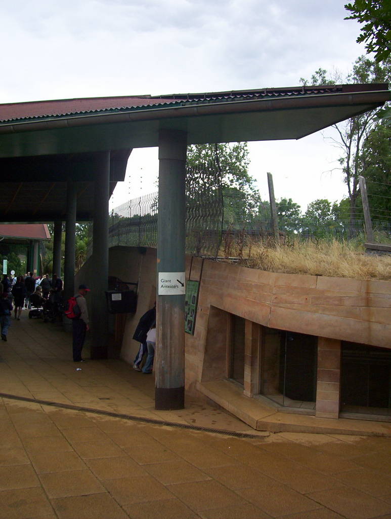 Anteater Sleeping Area