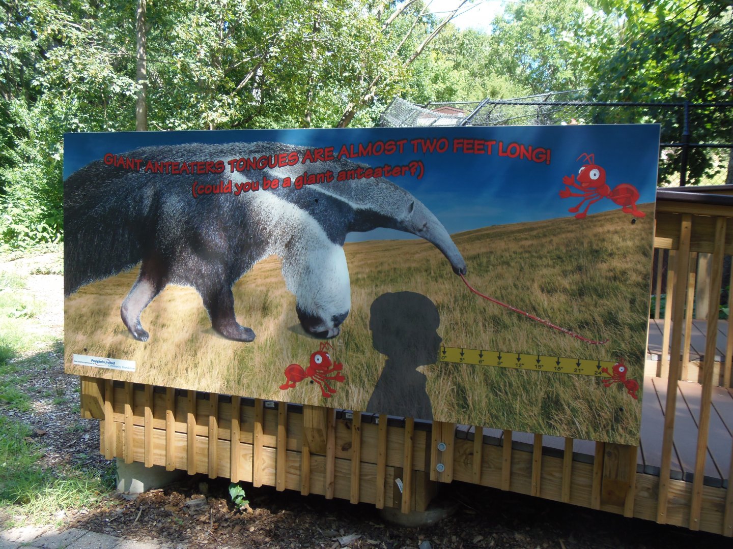 Anteater Tongue Graphic