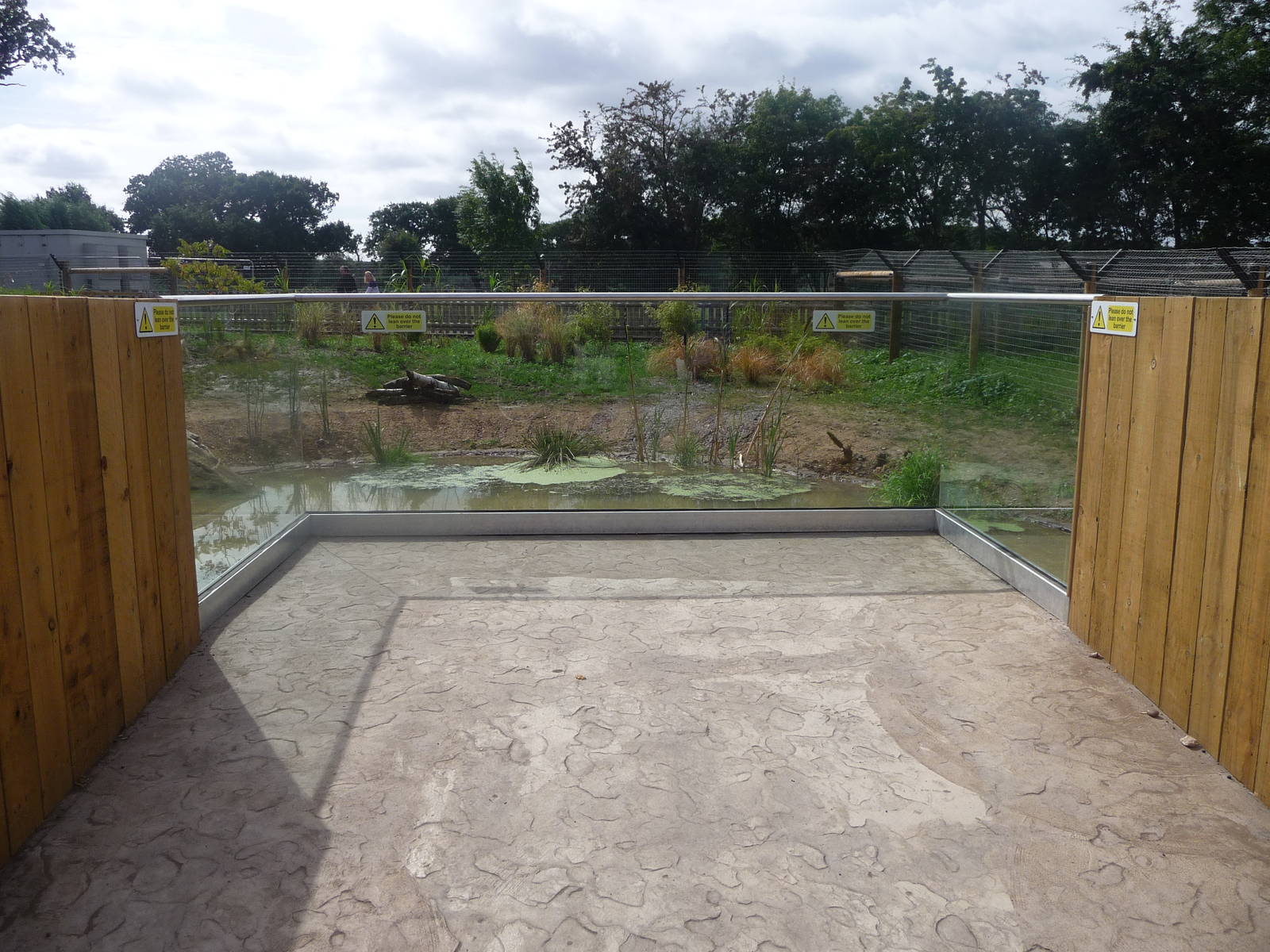 Anteater viewing area