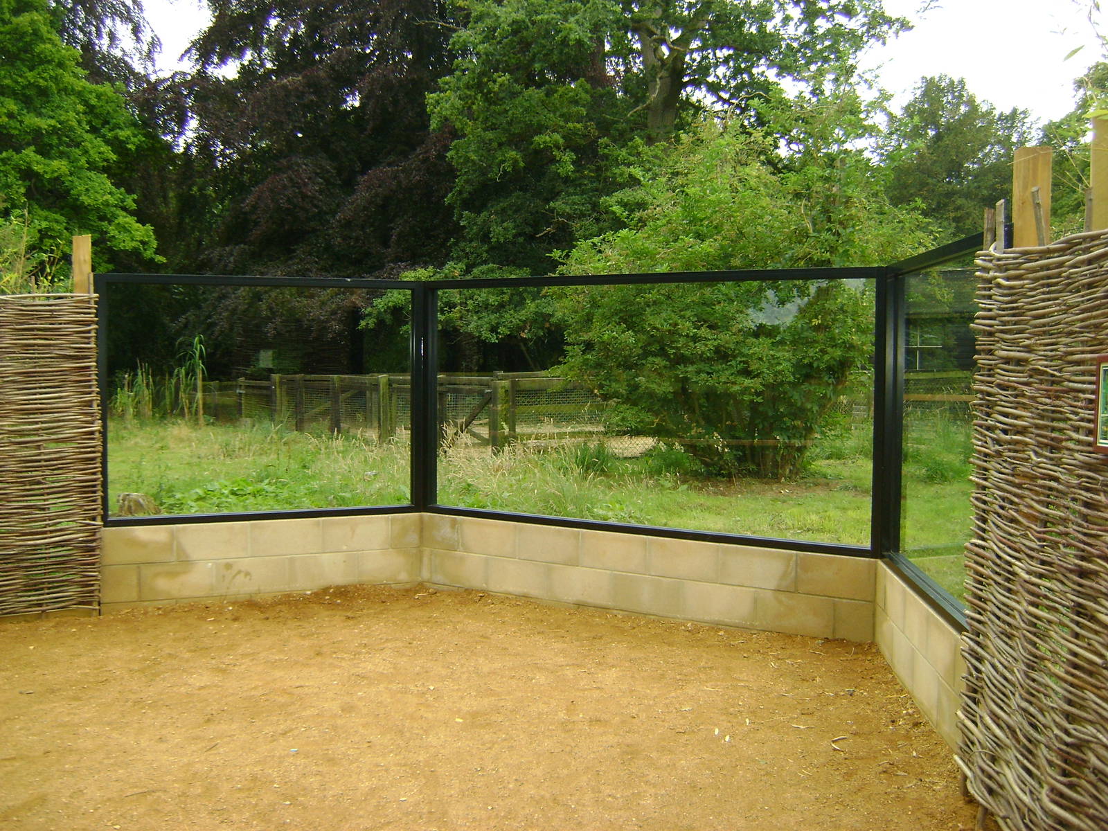 Anteater viewing window