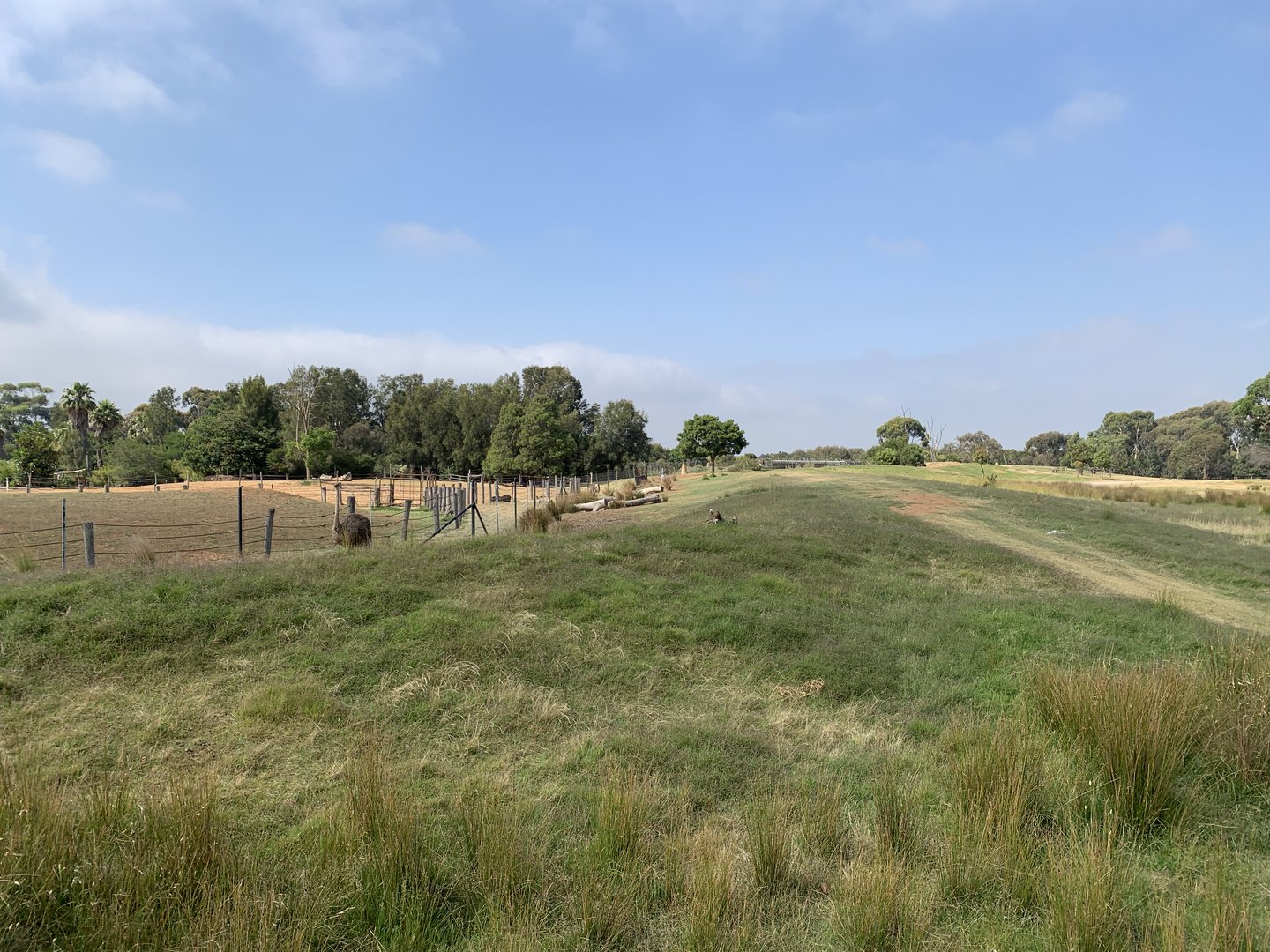 Antelope and Ostrich Paddock