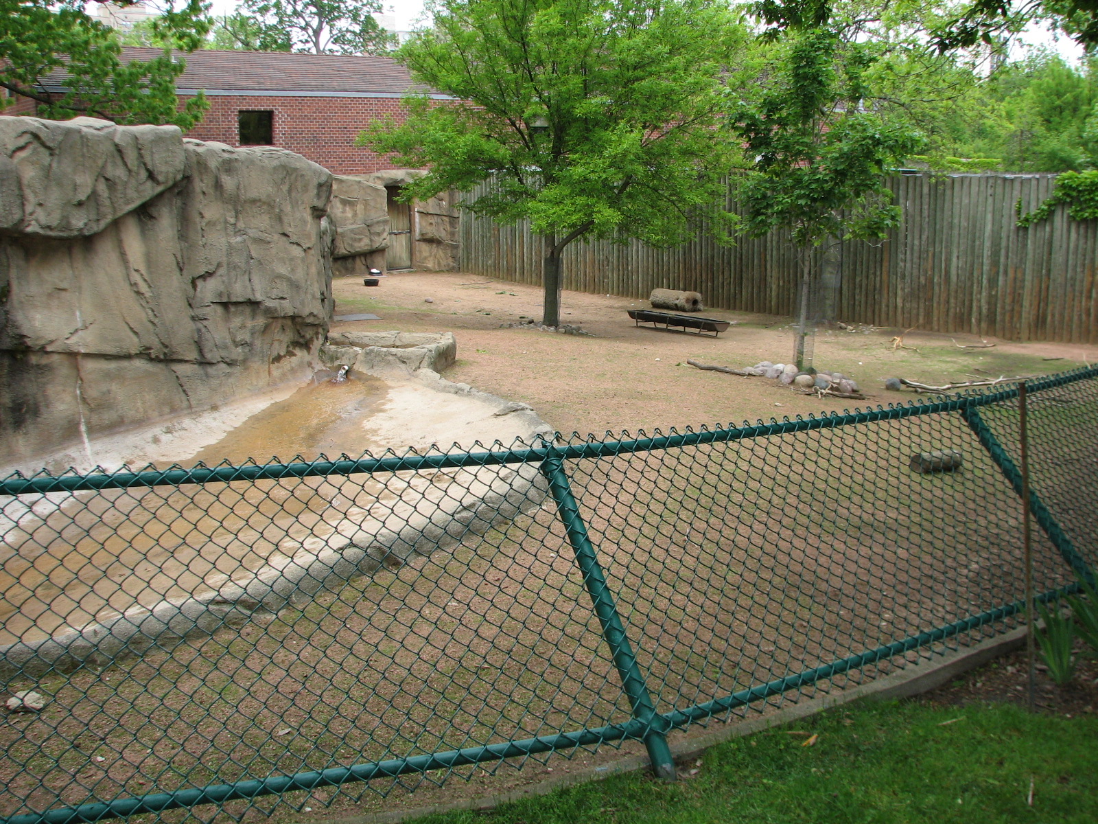 Antelope and Zebra Area - Alpaca Exhibit