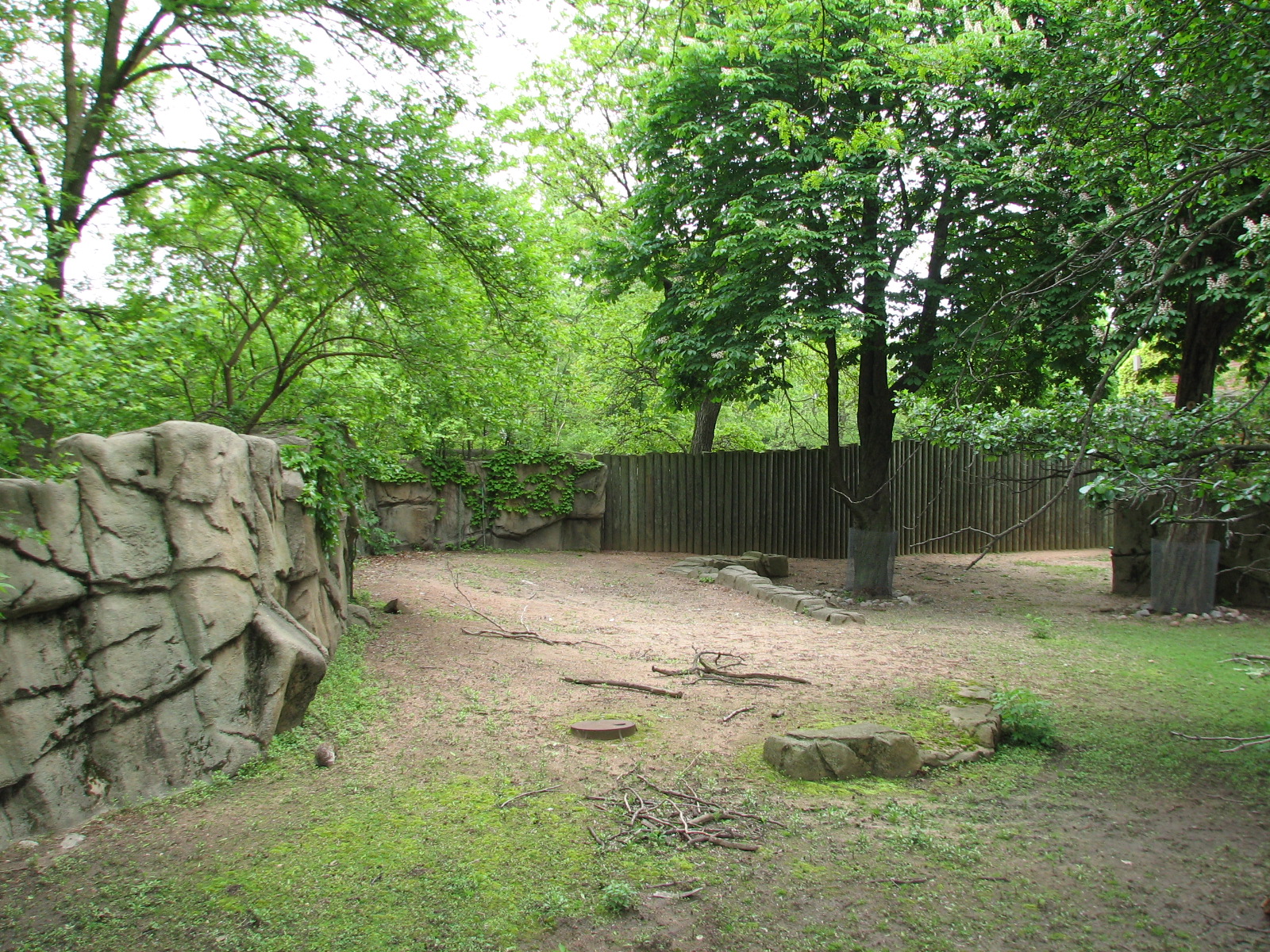 Antelope and Zebra Area - Empty Exhibit