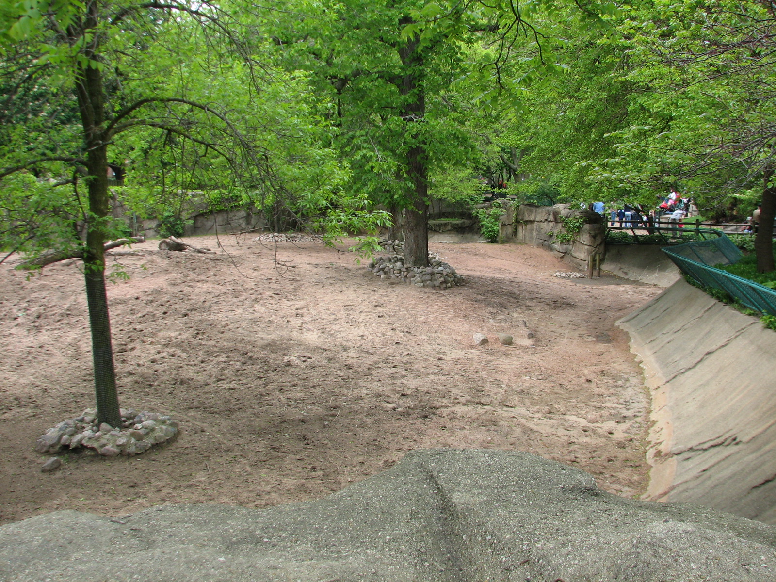 Antelope and Zebra Area - Grevys Zebra Exhibit