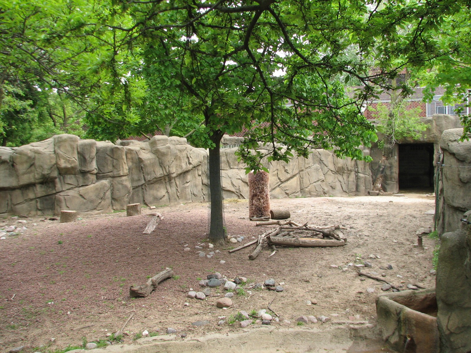 Antelope and Zebra Area - Sichuan Takin Exhibit 1