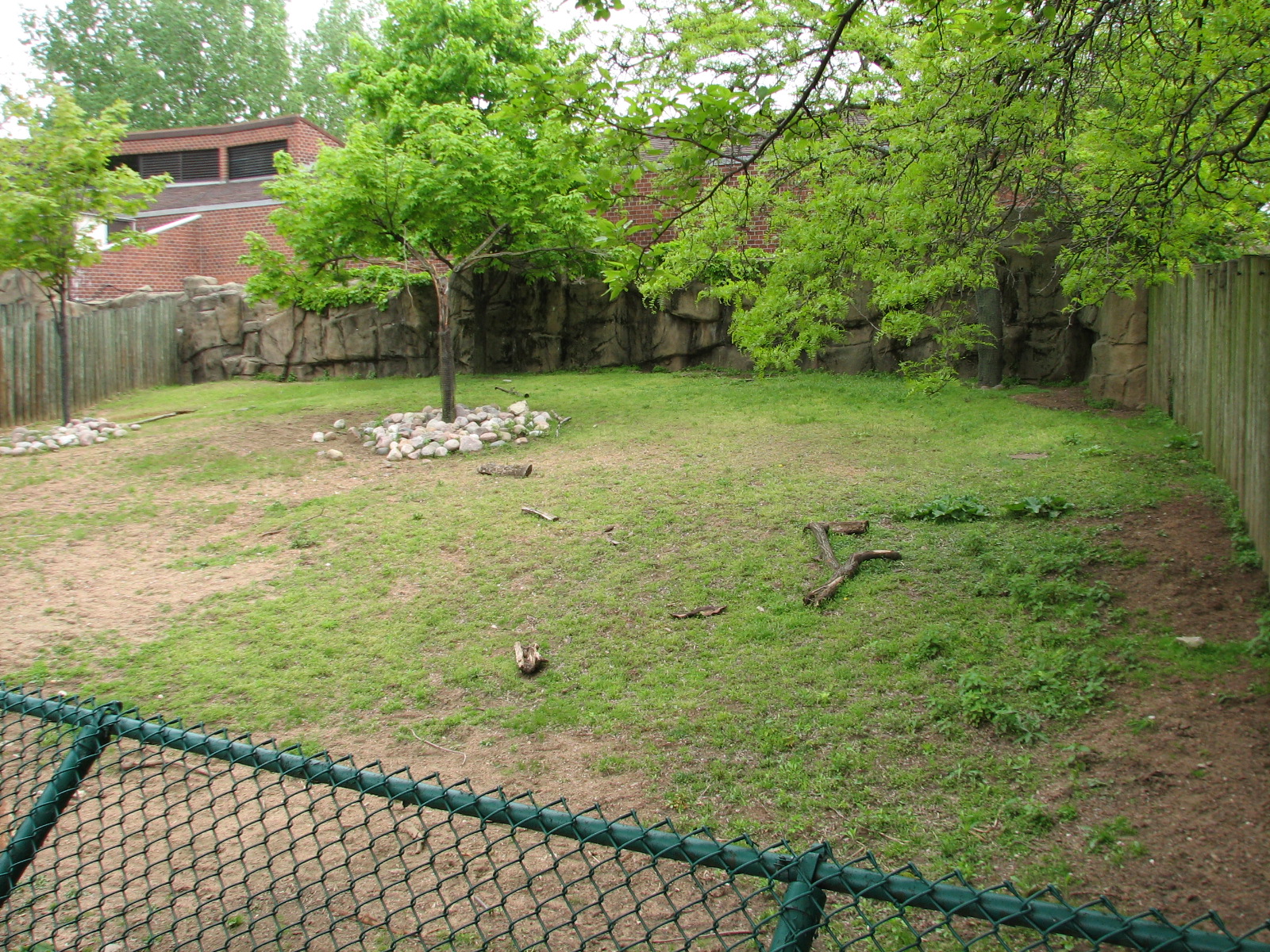 Antelope and Zebra Area - Sichuan Takin Exhibit 2