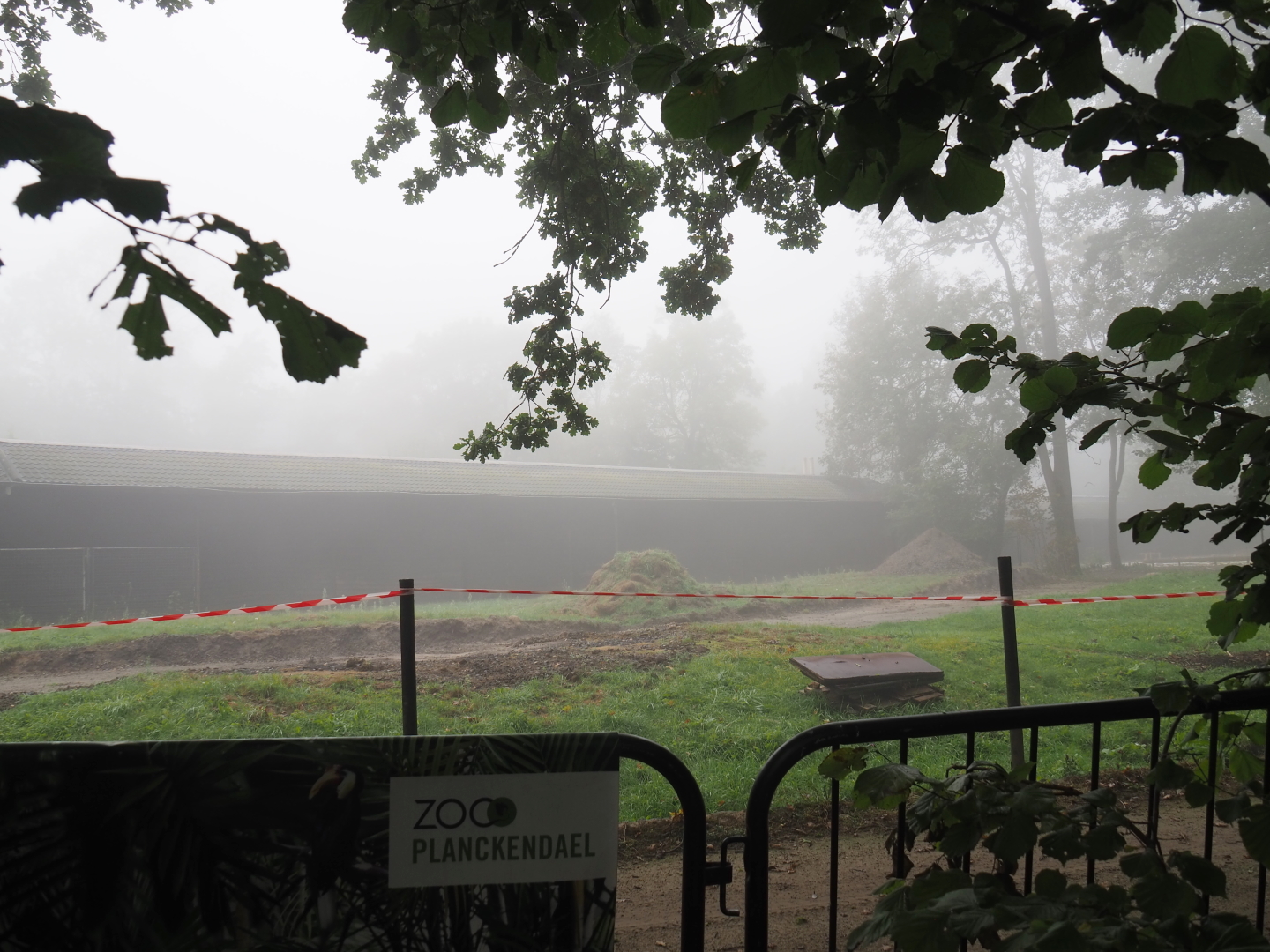 Antelope area renovation - Former Addax/Oryx/Wildebeest paddock with removed fencing and ground work, 2021-10-10